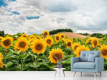 Laden Sie das Bild in den Galerie-Viewer, Fototapete Landschaft mit Sonnenblumen