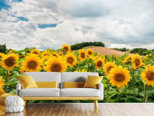 Laden Sie das Bild in den Galerie-Viewer, Fototapete Landschaft mit Sonnenblumen