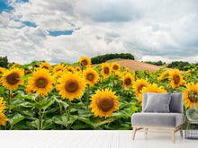 Laden Sie das Bild in den Galerie-Viewer, Fototapete Landschaft mit Sonnenblumen