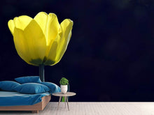 Laden Sie das Bild in den Galerie-Viewer, Fototapete Leuchtende Tulpe