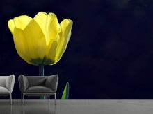 Laden Sie das Bild in den Galerie-Viewer, Fototapete Leuchtende Tulpe