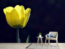 Laden Sie das Bild in den Galerie-Viewer, Fototapete Leuchtende Tulpe