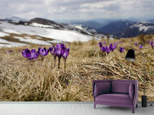 Laden Sie das Bild in den Galerie-Viewer, Fototapete Lila Krokus