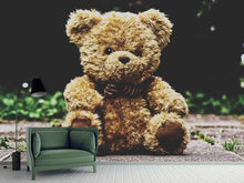 Laden Sie das Bild in den Galerie-Viewer, Fototapete Love Teddy