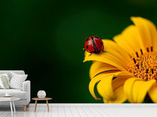 Laden Sie das Bild in den Galerie-Viewer, Fototapete Marienkäfer auf der Sonnenblume