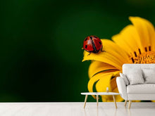 Laden Sie das Bild in den Galerie-Viewer, Fototapete Marienkäfer auf der Sonnenblume