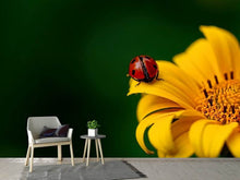 Laden Sie das Bild in den Galerie-Viewer, Fototapete Marienkäfer auf der Sonnenblume