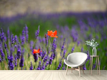 Laden Sie das Bild in den Galerie-Viewer, Fototapete Mohn im Lavendel