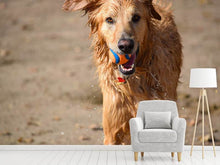 Laden Sie das Bild in den Galerie-Viewer, Fototapete Nasser Hund
