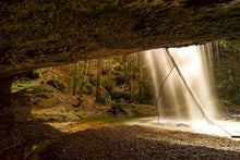 Laden Sie das Bild in den Galerie-Viewer, Fototapete Natur Dusche