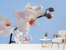Laden Sie das Bild in den Galerie-Viewer, Fototapete Orchidee im Himmel