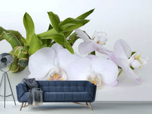 Laden Sie das Bild in den Galerie-Viewer, Fototapete Orchidee und Bambus