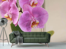 Laden Sie das Bild in den Galerie-Viewer, Fototapete Orchideen mit lila Blüten in XL