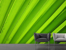 Laden Sie das Bild in den Galerie-Viewer, Fototapete Palm Streifen 2
