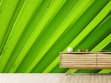 Laden Sie das Bild in den Galerie-Viewer, Fototapete Palm Streifen 2