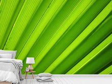 Laden Sie das Bild in den Galerie-Viewer, Fototapete Palm Streifen 2