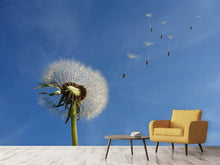 Laden Sie das Bild in den Galerie-Viewer, Fototapete Pusteblume - ich wünsch mir was