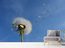 Laden Sie das Bild in den Galerie-Viewer, Fototapete Pusteblume - ich wünsch mir was