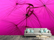 Laden Sie das Bild in den Galerie-Viewer, Fototapete Pusteblume in pink