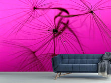 Laden Sie das Bild in den Galerie-Viewer, Fototapete Pusteblume in pink