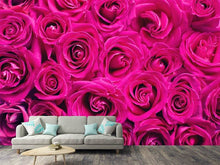 Laden Sie das Bild in den Galerie-Viewer, Fototapete Rosenblüten in pink