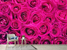 Laden Sie das Bild in den Galerie-Viewer, Fototapete Rosenblüten in pink