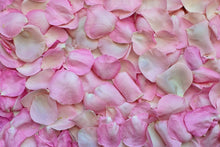 Laden Sie das Bild in den Galerie-Viewer, Fototapete Rosenblüten in rosa