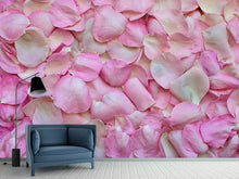 Laden Sie das Bild in den Galerie-Viewer, Fototapete Rosenblüten in rosa