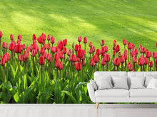 Laden Sie das Bild in den Galerie-Viewer, Fototapete Rotes Tulpenfeld im Sonnenlicht
