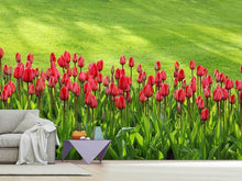Laden Sie das Bild in den Galerie-Viewer, Fototapete Rotes Tulpenfeld im Sonnenlicht