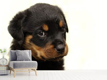 Laden Sie das Bild in den Galerie-Viewer, Fototapete Rottweiler Welpe zum Verlieben