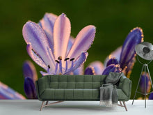 Laden Sie das Bild in den Galerie-Viewer, Fototapete Schmucklilien mit Morgentau