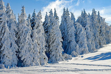 Laden Sie das Bild in den Galerie-Viewer, Fototapete Schöne Winterlandschaft