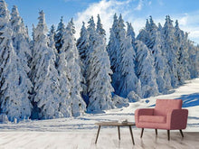 Laden Sie das Bild in den Galerie-Viewer, Fototapete Schöne Winterlandschaft