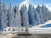 Laden Sie das Bild in den Galerie-Viewer, Fototapete Schöne Winterlandschaft
