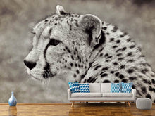Laden Sie das Bild in den Galerie-Viewer, Fototapete Schöner Gepard