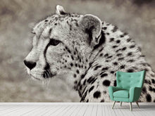 Laden Sie das Bild in den Galerie-Viewer, Fototapete Schöner Gepard