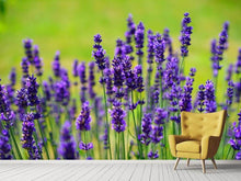 Laden Sie das Bild in den Galerie-Viewer, Fototapete Schöner Lavendel