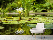 Laden Sie das Bild in den Galerie-Viewer, Fototapete Seerose in der Natur