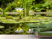 Laden Sie das Bild in den Galerie-Viewer, Fototapete Seerose in der Natur