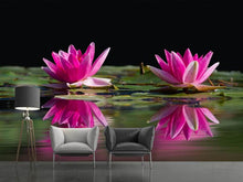 Laden Sie das Bild in den Galerie-Viewer, Fototapete Seerosen Duo in pink