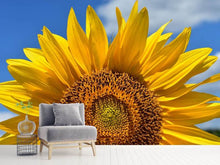 Laden Sie das Bild in den Galerie-Viewer, Fototapete Sonnenblume in XXL
