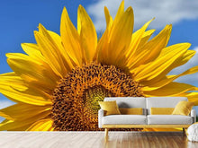 Laden Sie das Bild in den Galerie-Viewer, Fototapete Sonnenblume in XXL