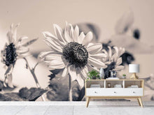 Laden Sie das Bild in den Galerie-Viewer, Fototapete Sonnenblumen sw
