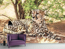 Laden Sie das Bild in den Galerie-Viewer, Fototapete Sonnender Gepard