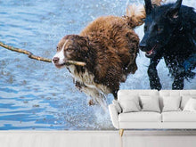 Laden Sie das Bild in den Galerie-Viewer, Fototapete Spielende Hunde