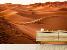 Laden Sie das Bild in den Galerie-Viewer, Fototapete Spuren in der Wüste