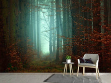 Laden Sie das Bild in den Galerie-Viewer, Fototapete Stimmung im Wald