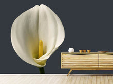 Laden Sie das Bild in den Galerie-Viewer, Fototapete Stolze Calla