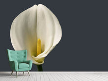 Laden Sie das Bild in den Galerie-Viewer, Fototapete Stolze Calla